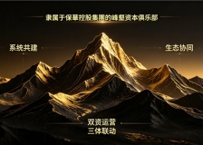 产业与资本还在博弈？峰壑金融已经开始"系统共建"了